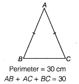 NCERT Solutions for Class 9 Maths Chapter 7 Heron's Formula 7.1 6